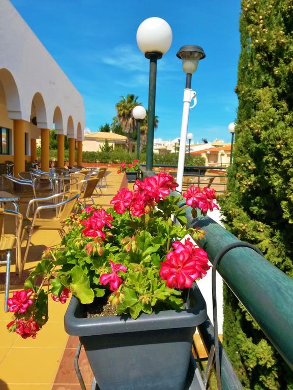Rialgarve Bed & Breakfast Faro Dış mekan fotoğraf